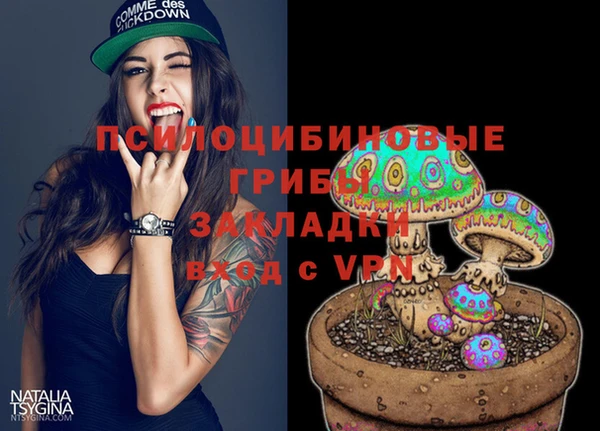 ECSTASY Тында