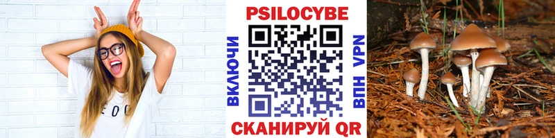 купить наркотик  площадка состав  Псилоцибиновые грибы Magic Shrooms  Узловая 