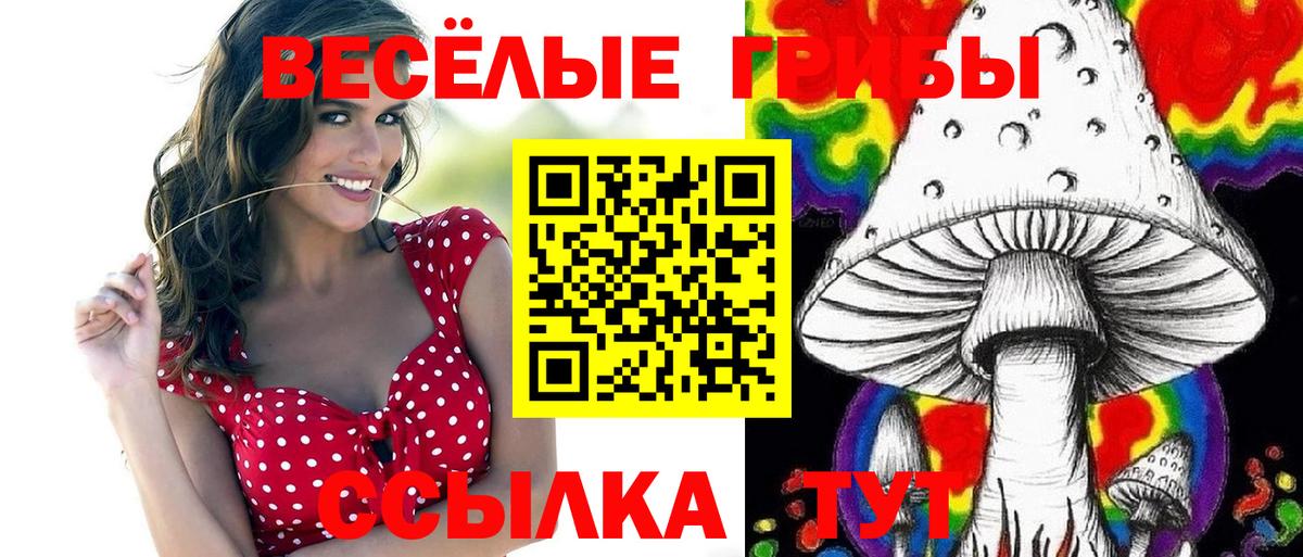 Псилоцибиновые грибы Psilocybine cubensis Узловая