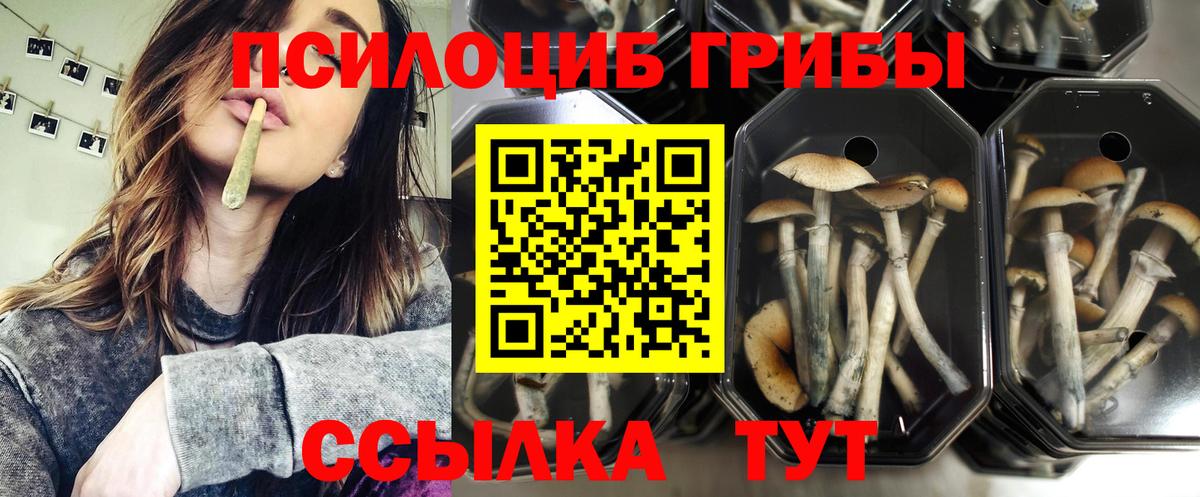 Галлюциногенные грибы мицелий  Вход с VPN  даркнет сайт  Узловая 